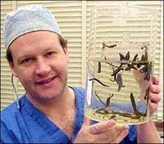 پاورپوینت تفاوت زالو درمانی در طب سنتی ایران با زالو درمانی مدرن