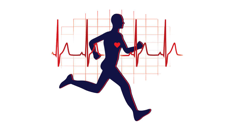 پاورپوینت فعالیت بدنی و سلامت